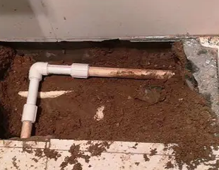 且末测漏水哪家好