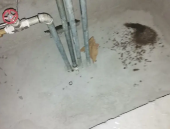 且末卫生间测漏水价格明细