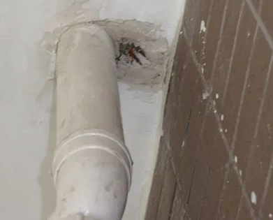 且末漏水检测哪家好